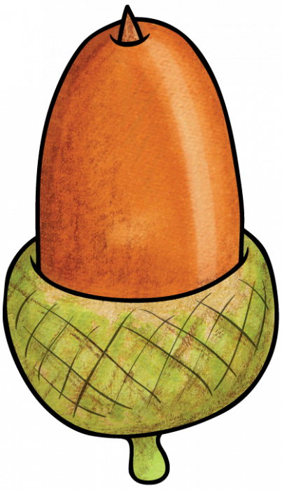 khadfield_autumnafternoon_acorn1.png