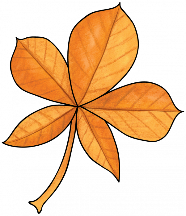 khadfield_autumnafternoon_leaf7.png